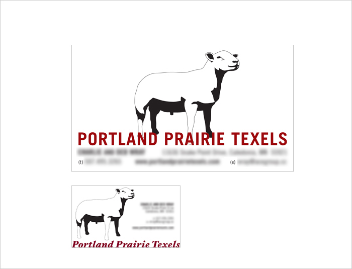 Portland Prairie Texels Business Card